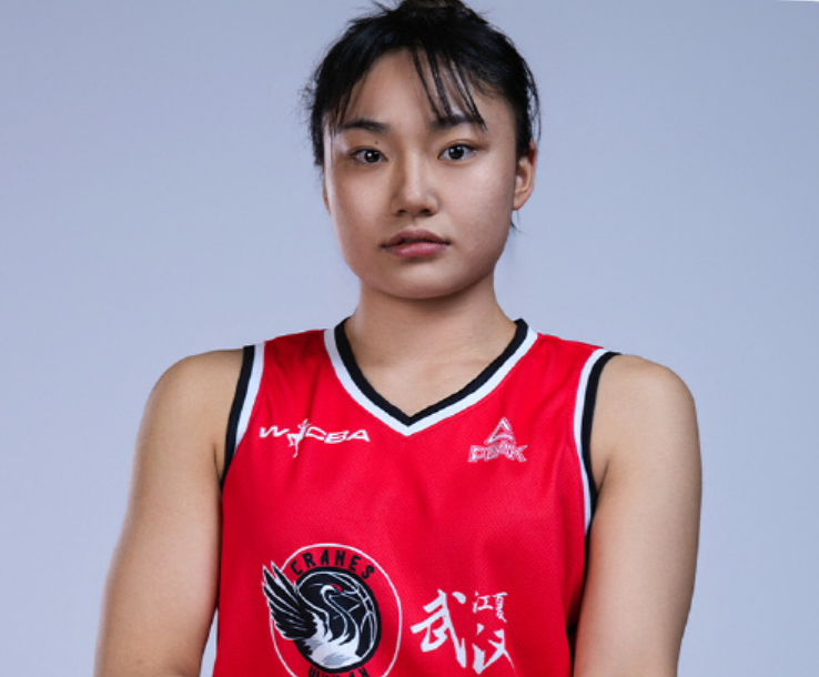 专业b体育下载服务