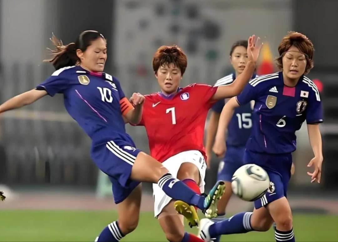 b体育登录介绍图片