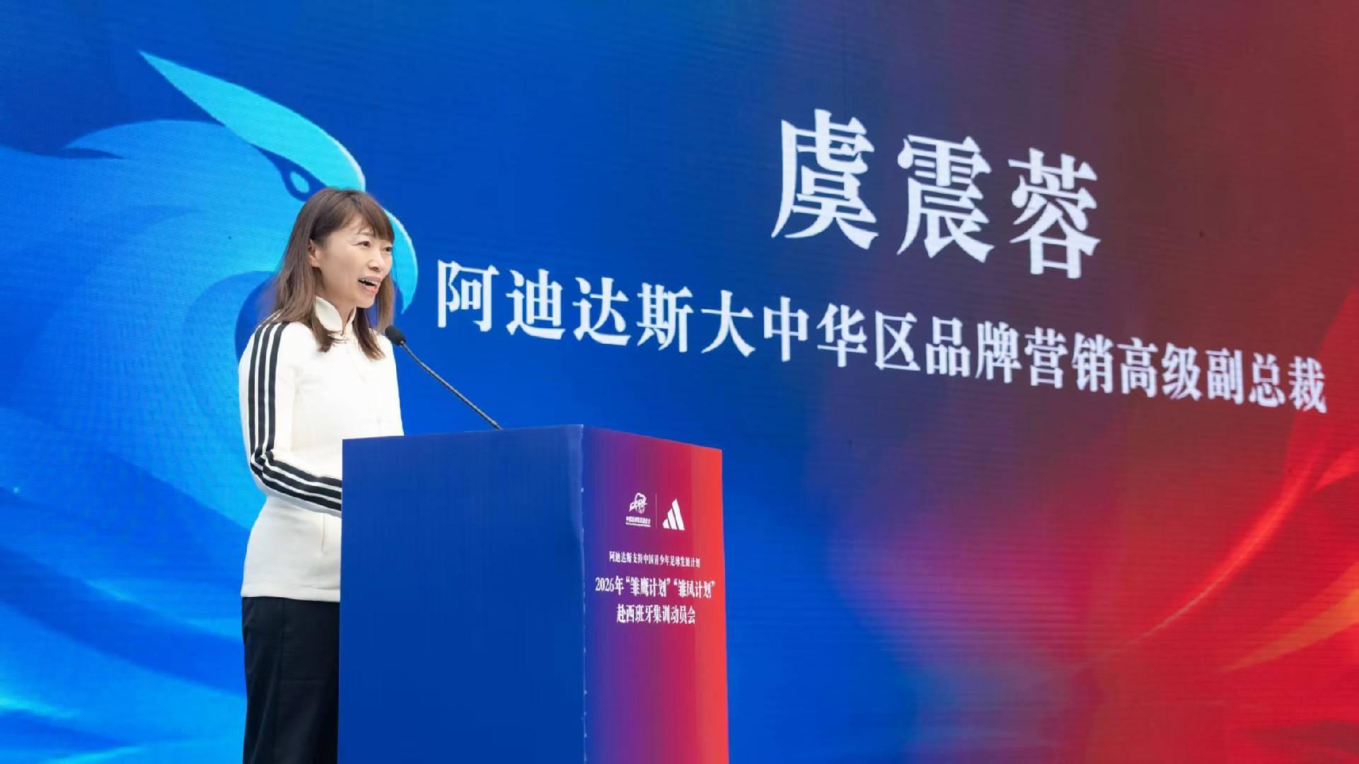 专业b体育下载服务