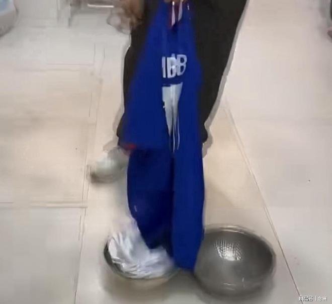 b体育入口介绍图片